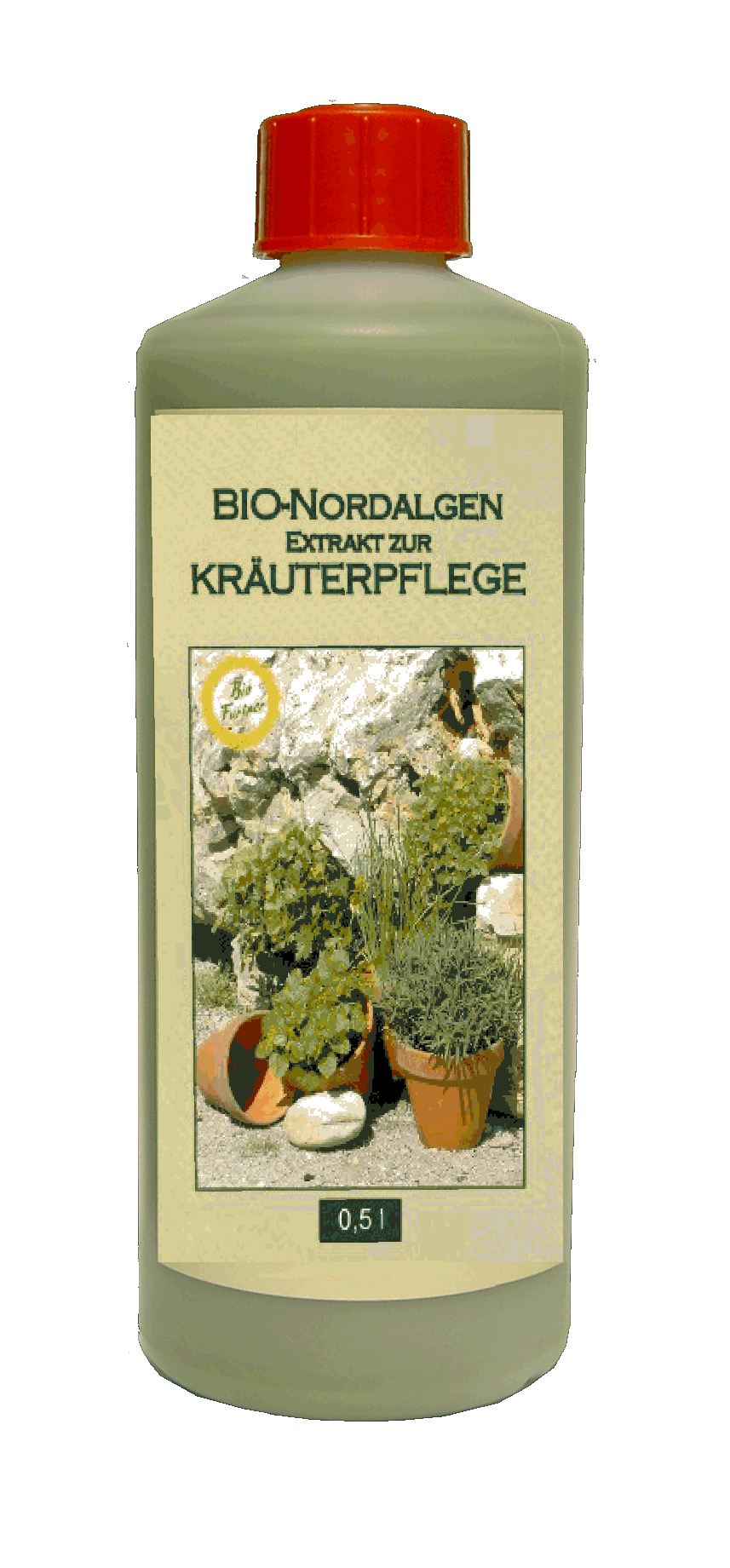 Braunalgen Extrakt aus Ascophyllum nodosum für Kräuter 