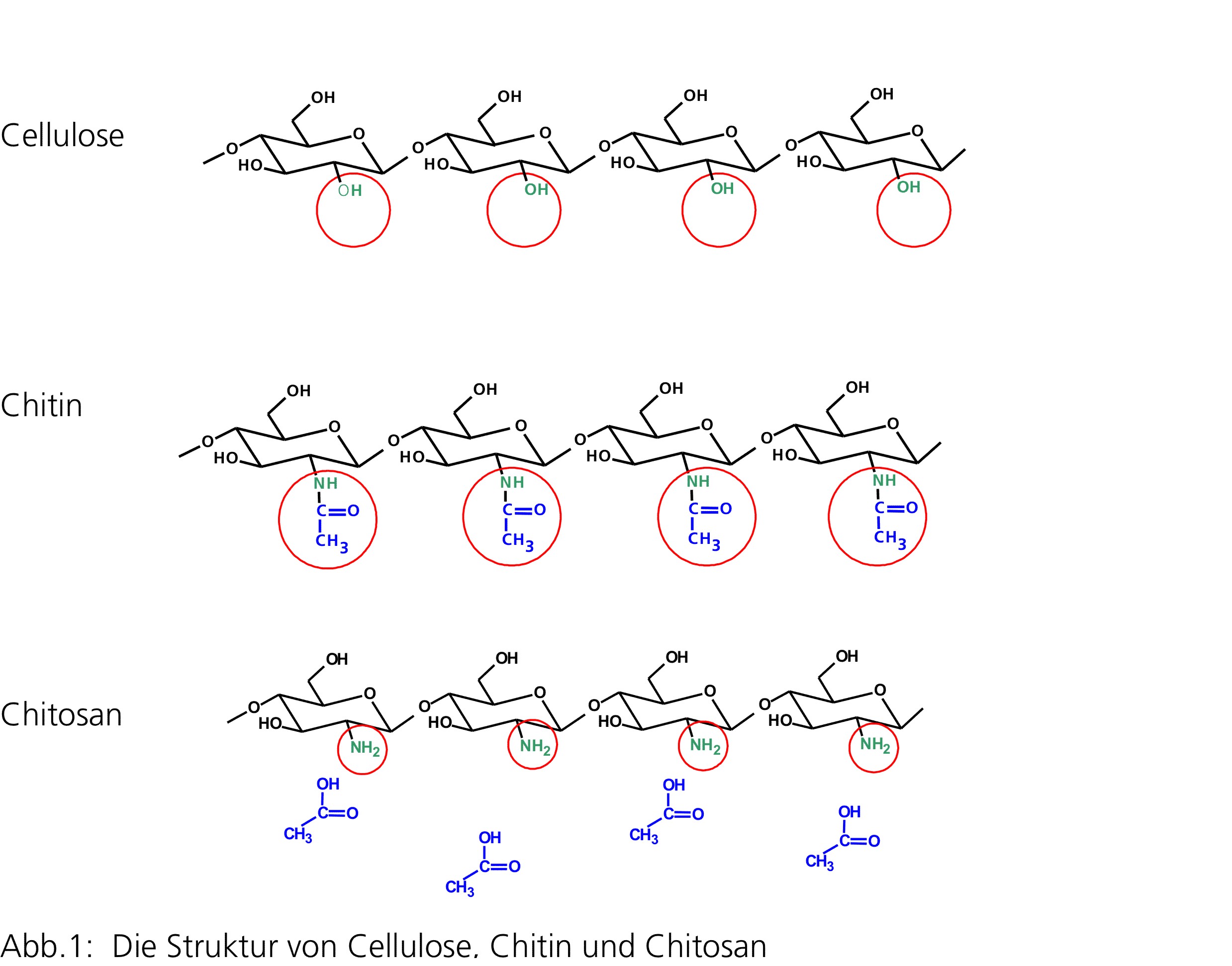 Struktur Cellulose, Chitin, Chitosan 
